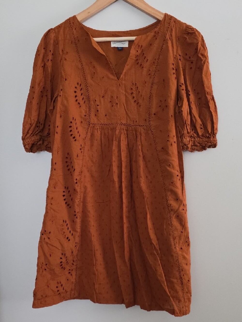 Universal Thread Rust Eyelet Mini Dress